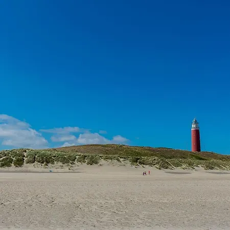 Vakantiehuis On Texel Near And Forest