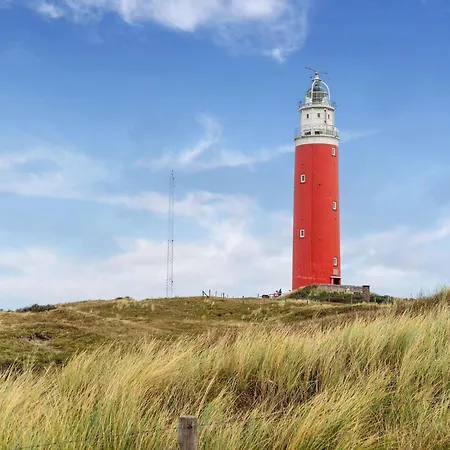 Vakantiehuis On Texel Near And Forest De Koog (Texel)