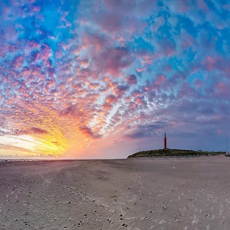 On Texel Near And Forest Vakantiehuis