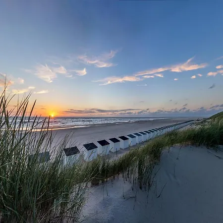 On Texel Near And Forest Vakantiehuis